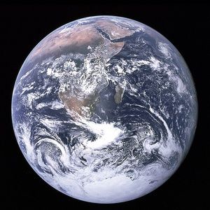 Meet your Posher, Josie